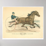 Trotting stallion Palo Alto by Electioneer (1791A) Print