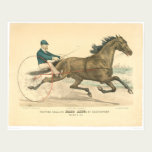 Trotting stallion Palo Alto by Electioneer (1791A) posters
