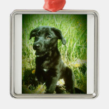 Trouble Christmas Ornament