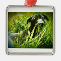Trouble Christmas Tree Ornaments