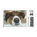Trouble the Jack Russell Terrier Dog postage by Kimmiegrif Trouble the Jack Russell Terrier Dog postage