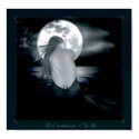 Troublesome Seas posters