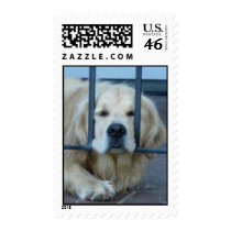 Troublesome Tess postage by ddesautels Troublesome Tess postage