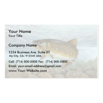 Trout, brook business cards