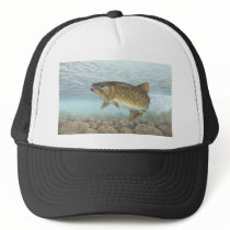 Trout, brook mesh hat