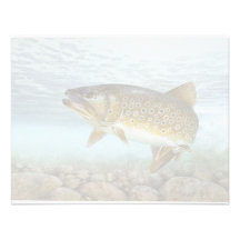 Trout, brook personalized invitations