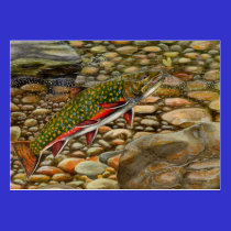 TROUT Business Card Template business cards