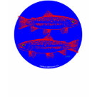 ladies_fitted_spaghetti - Trout illustration by Duncan Reed ladies_fitted_spaghetti - Trout illustration by Duncan Reed