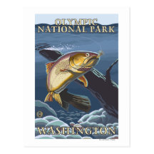 Trout Fishing Cross-Section 4 Postcards