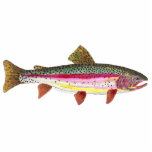 Trout Fly Fishing Acrylic Cut Outs
