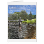 trout fly fishing cards