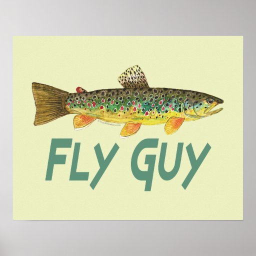 Trout Fly Fishing Poster Zazzle