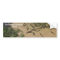 Trout in Wyoming Bumper Stickers