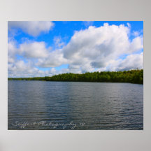 Trout Lake Series Poster