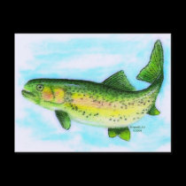 Trout Postcard