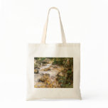 Trout Stream in the Tyrol by John Singer Sargent bags