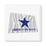 Troutman Flag magnets