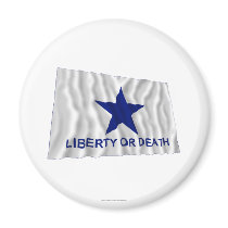 Troutman Flag Fridge Magnets