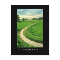 Trowulan Fields Post Card