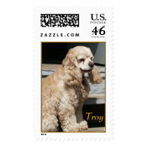 troy on porch, Troy postage by RonWagner troy on porch, Troy postage