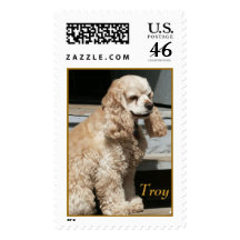 troy on porch, Troy Stamps