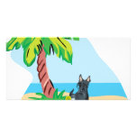 trpoical scottie picture card