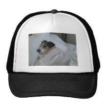 Trucker Hat