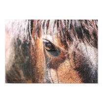 Trudy posters by Sequoia2k Trudy posters