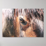 Trudy Posters