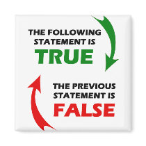 True and False Statements Fridge Magnet