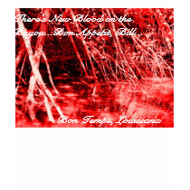 True Blood on the Bayou t-shirts by Arwen3399 True Blood on the Bayou t-shirts