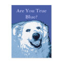 True Blue Dog Democrat postcard