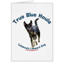 True Blue Houla Catahoula Dog Greeting Cards