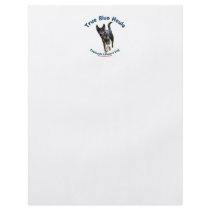 True Blue Houla Catahoula Dog Custom Flyer