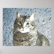 True Blue Kitty Print