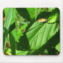 True Bug mousepads
