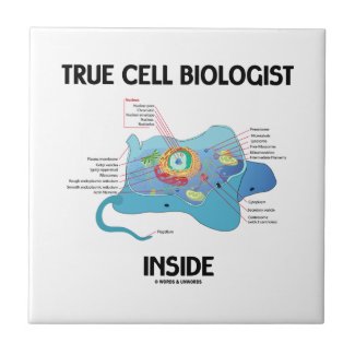 True Cell Biologist Inside (Eukaryote) Ceramic Tiles