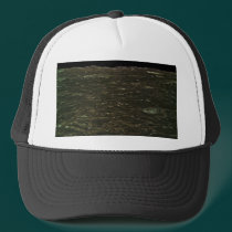 True Colors hats