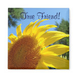 True Friend! magnet Sunflowers Friendship magnets