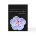 True Friendships cards