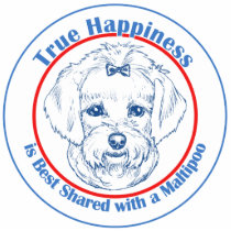 True Happiness with a Maltipoo photo sculptures by dogadoodle True Happiness with a Maltipoo photo sculptures