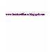 Ladies Baby Doll (Fitted)