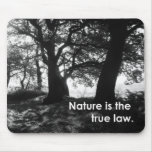 TRUE LAW (mouse-pad) mousepads