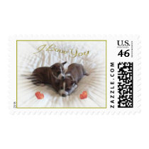 True Love Basenji Postage