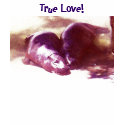 True Love! Hippo shirt