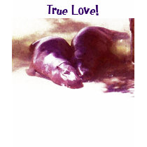 True Love! Hippo shirt by patcallum True Love! Hippo shirt