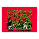 True Love is A Blessing From God cards by DonnaGrayson True Love is A Blessing From God cards