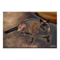 TRUE LOVE Kitty Art Poster posters