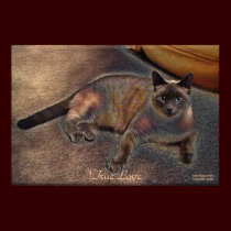 TRUE LOVE Kitty Art Poster posters by RavenSpiritPrints TRUE LOVE Kitty Art Poster posters