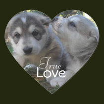 True Love stickers